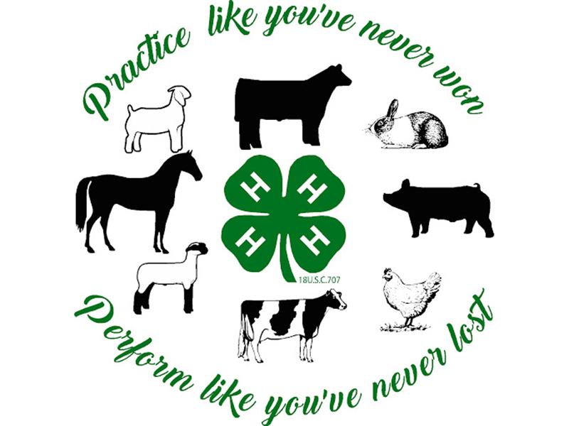 Logo for 2027 Avoyelles Parish Livestock Show